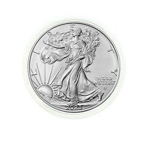 2023 - American Silver Eagle .999 Fine Silver in Direct Fit Air Tite Case